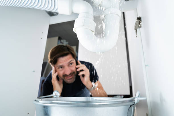 Best Plumbing Repair Near Me  in River Falls, WI