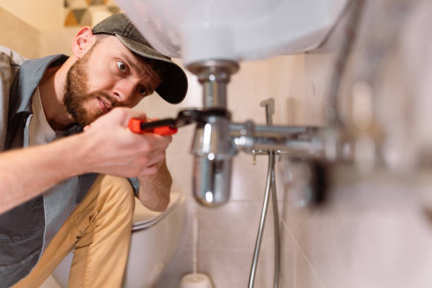 Best Sprinkler Systems  in River Falls, WI