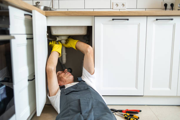 Best Toilet Repair Services  in River Falls, WI