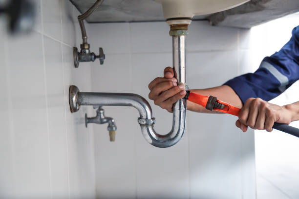 Best Sprinkler Systems  in River Falls, WI